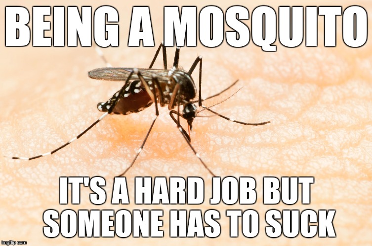 Poor Mosquito | BEING A MOSQUITO; IT'S A HARD JOB BUT SOMEONE HAS TO SUCK | image tagged in memes,funny,mosquito | made w/ Imgflip meme maker
