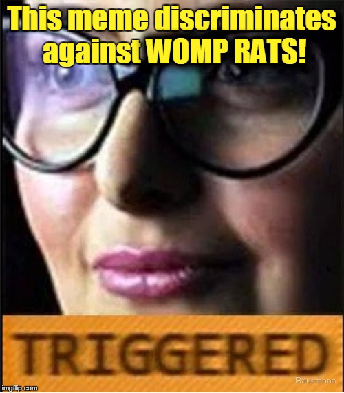 This meme discriminates against WOMP RATS! WOMP RATS! | made w/ Imgflip meme maker