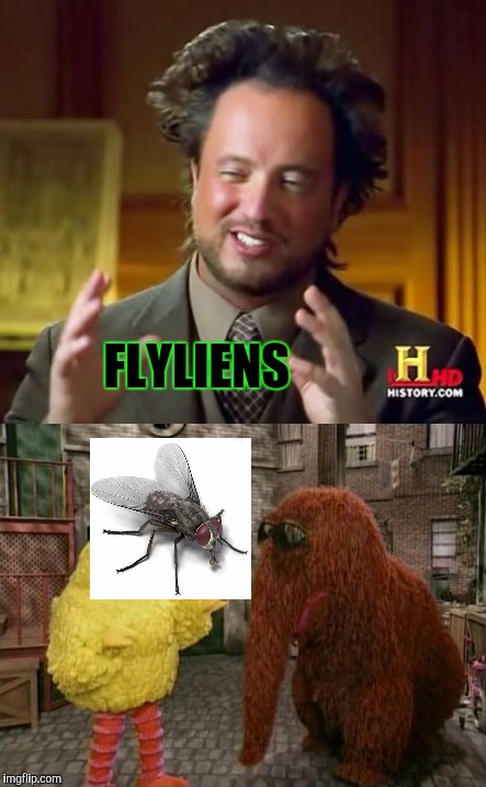 FLYLIENS | made w/ Imgflip meme maker