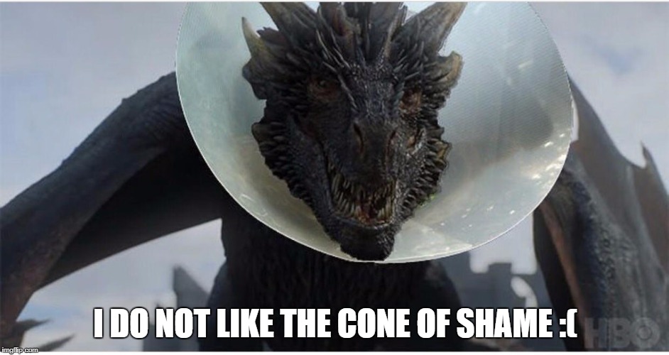 I DO NOT LIKE
THE CONE OF SHAME :( | made w/ Imgflip meme maker