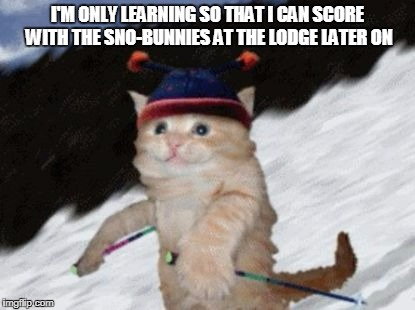 I'M ONLY LEARNING SO THAT I CAN SCORE WITH THE SNO-BUNNIES AT THE LODGE LATER ON | made w/ Imgflip meme maker