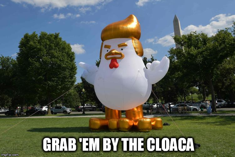 GRAB 'EM BY THE CLOACA | image tagged in donald trump,trump | made w/ Imgflip meme maker