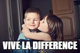 Vive la difference - between boys and girls |  VIVE LA DIFFERENCE | image tagged in diversity google damore | made w/ Imgflip meme maker