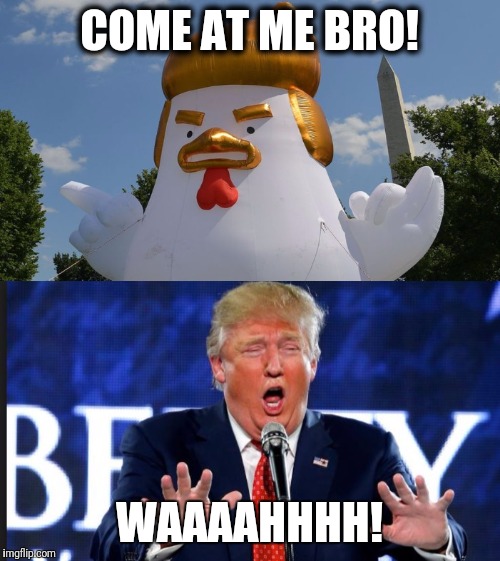 COME AT ME BRO! WAAAAHHHH! | image tagged in chicken,trump | made w/ Imgflip meme maker