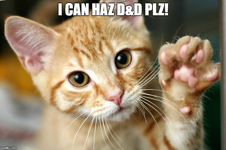 I CAN HAZ D&D PLZ! | image tagged in cat,orange,handshake | made w/ Imgflip meme maker