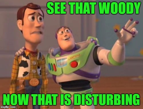 X, X Everywhere Meme | SEE THAT WOODY NOW THAT IS DISTURBING | image tagged in memes,x x everywhere | made w/ Imgflip meme maker