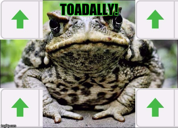 TOADALLY! | made w/ Imgflip meme maker