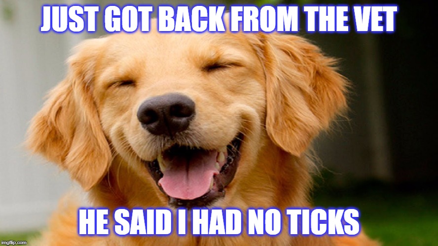 JUST GOT BACK FROM THE VET HE SAID I HAD NO TICKS | made w/ Imgflip meme maker