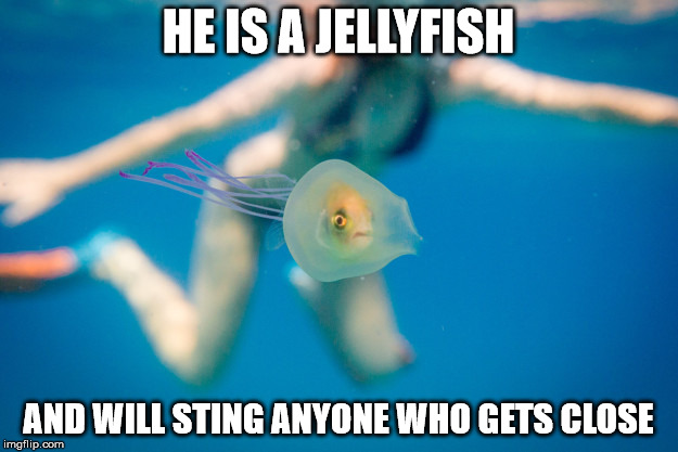 Fish In Jellyfish | HE IS A JELLYFISH; AND WILL STING ANYONE WHO GETS CLOSE | image tagged in fish in jellyfish | made w/ Imgflip meme maker
