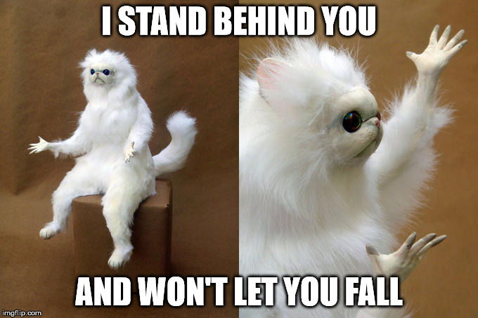 Persian Cat Room Guardian Meme | I STAND BEHIND YOU; AND WON'T LET YOU FALL | image tagged in memes,persian cat room guardian | made w/ Imgflip meme maker