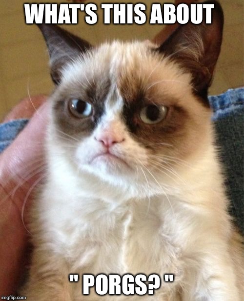 Grumpy Cat | WHAT'S THIS ABOUT; " PORGS? " | image tagged in memes,grumpy cat | made w/ Imgflip meme maker