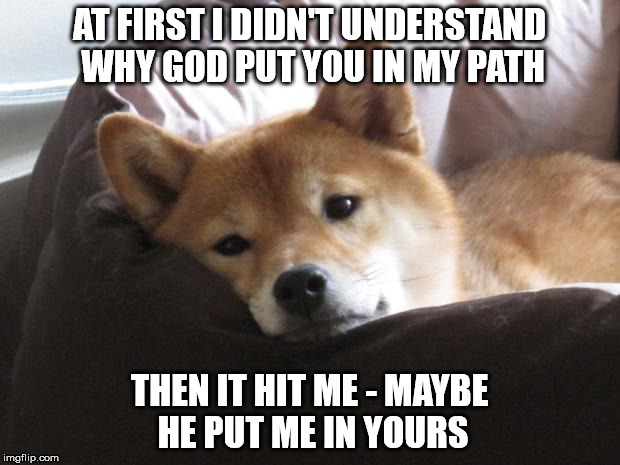 Sad Doge | AT FIRST I DIDN'T UNDERSTAND WHY GOD PUT YOU IN MY PATH; THEN IT HIT ME - MAYBE HE PUT ME IN YOURS | image tagged in sad doge | made w/ Imgflip meme maker
