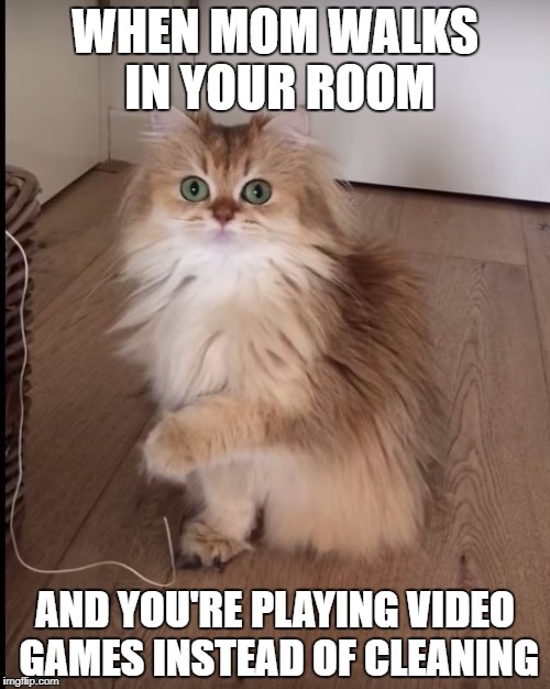 Shocked Cat | WHEN MOM WALKS IN YOUR ROOM; AND YOU'RE PLAYING VIDEO GAMES INSTEAD OF CLEANING | image tagged in shocked cat,that moment when | made w/ Imgflip meme maker