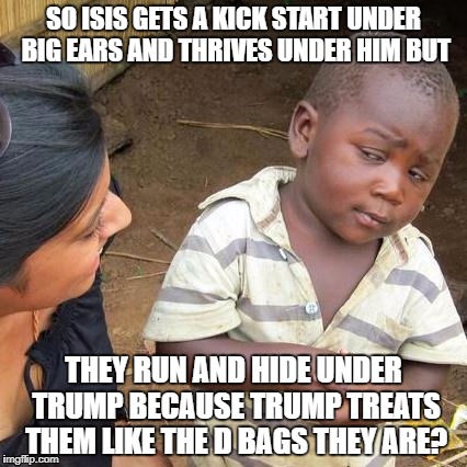 Third World Skeptical Kid | SO ISIS GETS A KICK START UNDER BIG EARS AND THRIVES UNDER HIM BUT; THEY RUN AND HIDE UNDER TRUMP BECAUSE TRUMP TREATS THEM LIKE THE D BAGS THEY ARE? | image tagged in memes,third world skeptical kid | made w/ Imgflip meme maker