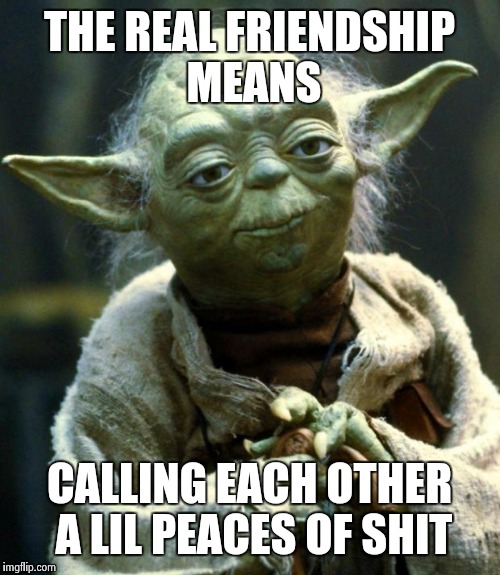 Star Wars Yoda Meme | THE REAL FRIENDSHIP MEANS; CALLING EACH OTHER A LIL PEACES OF SHIT | image tagged in memes,star wars yoda | made w/ Imgflip meme maker