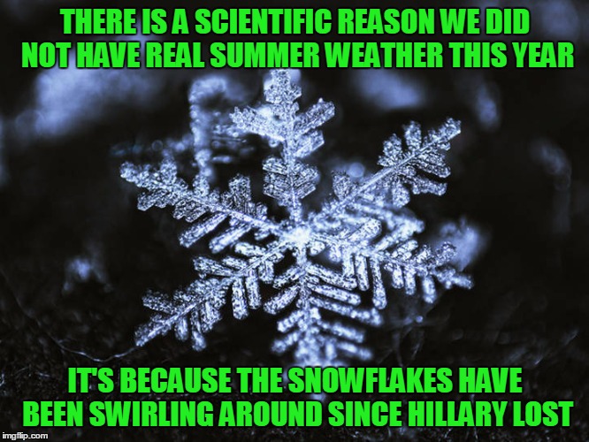 The snowflakes ruined summer |  THERE IS A SCIENTIFIC REASON WE DID NOT HAVE REAL SUMMER WEATHER THIS YEAR; IT'S BECAUSE THE SNOWFLAKES HAVE BEEN SWIRLING AROUND SINCE HILLARY LOST | image tagged in snowflake,hillary clinton,summer | made w/ Imgflip meme maker