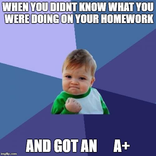 Success Kid Meme | WHEN YOU DIDNT KNOW WHAT YOU WERE DOING ON YOUR HOMEWORK; AND GOT AN      A+ | image tagged in memes,success kid | made w/ Imgflip meme maker