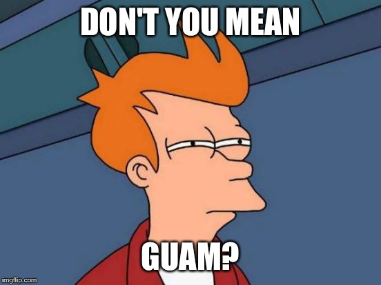 Futurama Fry Meme | DON'T YOU MEAN GUAM? | image tagged in memes,futurama fry | made w/ Imgflip meme maker