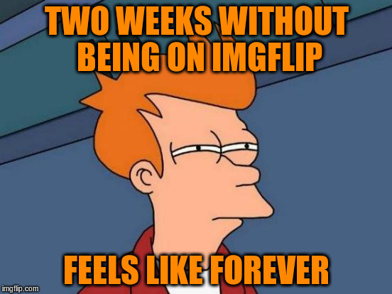 It Felt Longer | TWO WEEKS WITHOUT BEING ON IMGFLIP; FEELS LIKE FOREVER | image tagged in memes,futurama fry | made w/ Imgflip meme maker