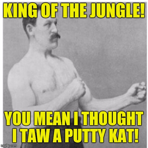 Overly Manly Man Meme | KING OF THE JUNGLE! YOU MEAN I THOUGHT I TAW A PUTTY KAT! | image tagged in memes,overly manly man | made w/ Imgflip meme maker