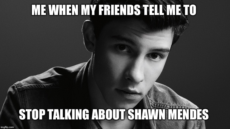 Why Should I Stop | ME WHEN MY FRIENDS TELL ME TO; STOP TALKING ABOUT SHAWN MENDES | image tagged in shawn mendes,fan girl,why | made w/ Imgflip meme maker