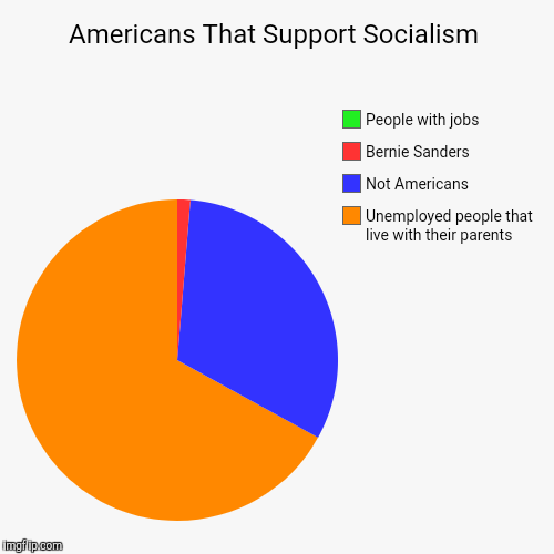 Americans That Support Socialism | Unemployed people that live with their parents, Not Americans, Bernie Sanders, People with jobs | image tagged in funny,pie charts | made w/ Imgflip chart maker