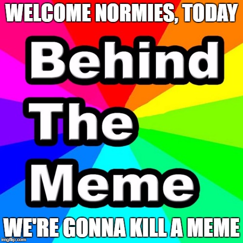 The Meme Killer | WELCOME NORMIES, TODAY; WE'RE GONNA KILL A MEME | image tagged in youtuber,memes about memes | made w/ Imgflip meme maker