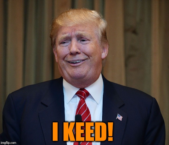 DRUMPF | I KEED! | image tagged in drumpf,memes,triumph the insult comic dog,thanks putin,police brutality,sarcasm | made w/ Imgflip meme maker