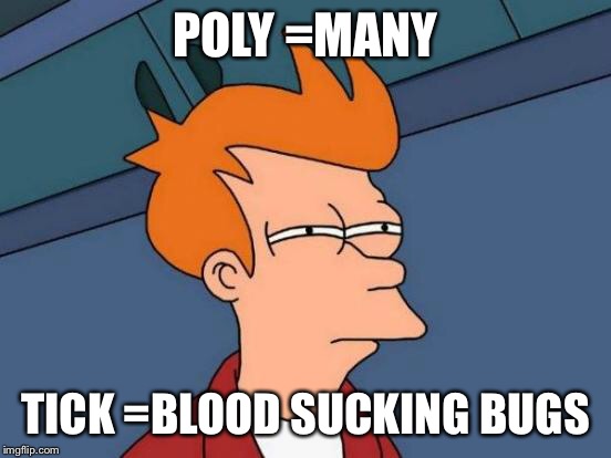 Futurama Fry Meme | POLY =MANY TICK =BLOOD SUCKING BUGS | image tagged in memes,futurama fry | made w/ Imgflip meme maker