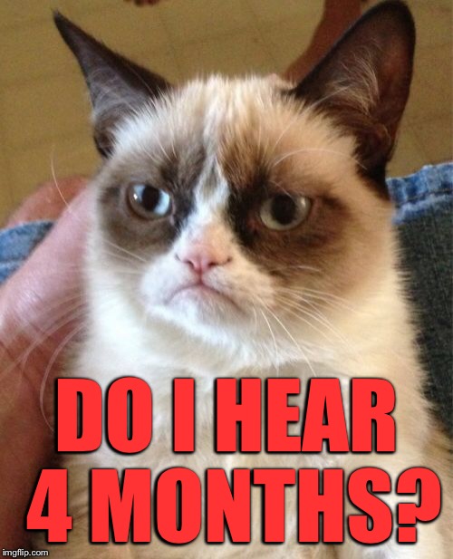 Grumpy Cat Meme | DO I HEAR 4 MONTHS? | image tagged in memes,grumpy cat | made w/ Imgflip meme maker