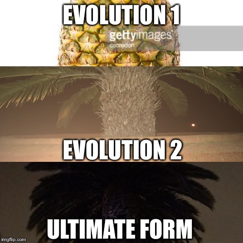 P1n34pp13 | EVOLUTION 1; EVOLUTION 2; ULTIMATE FORM | image tagged in lol | made w/ Imgflip meme maker