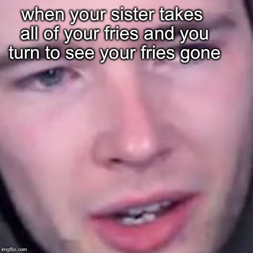 when your sister takes all of your fries and you turn to see your fries gone | image tagged in youcantbeserious | made w/ Imgflip meme maker