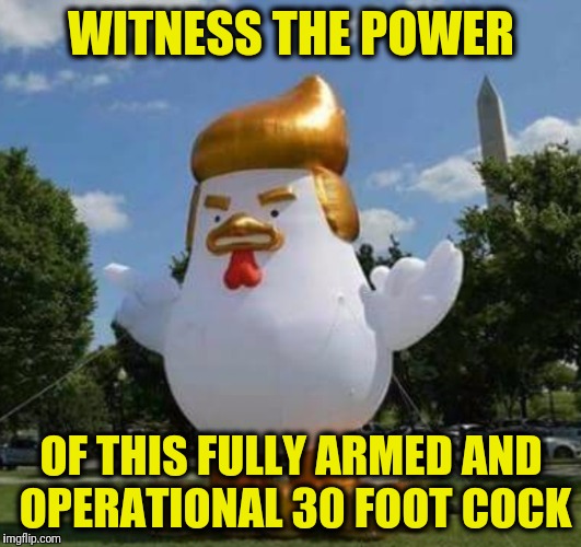 Armed and operational 30 foot cock | WITNESS THE POWER; OF THIS FULLY ARMED AND OPERATIONAL 30 FOOT COCK | image tagged in donald trump,trump | made w/ Imgflip meme maker