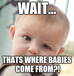 Skeptical Baby Meme | WAIT... THATS WHERE BABIES COME FROM?! | image tagged in memes,skeptical baby | made w/ Imgflip meme maker