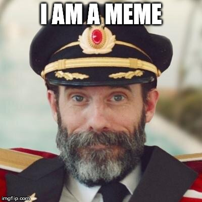 I Have a Meme... | I AM A MEME | image tagged in thanks captain obvious,lets all just sing like little sissy girls,waa waawaaa | made w/ Imgflip meme maker