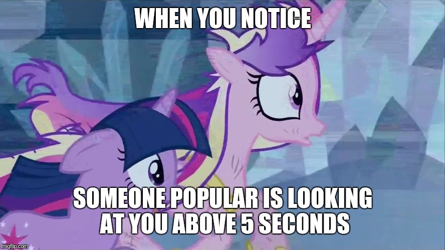 shocked ponies | WHEN YOU NOTICE; SOMEONE POPULAR IS LOOKING AT YOU ABOVE 5 SECONDS | image tagged in shocked ponies | made w/ Imgflip meme maker