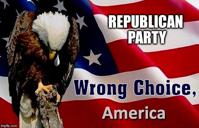 Wrong Choice | REPUBLICAN PARTY | image tagged in republican,fascist,nazis,hate,fear,greed | made w/ Imgflip meme maker