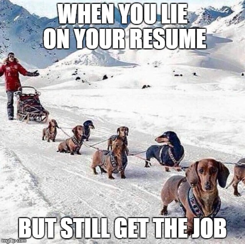When you lie on your resume... | WHEN YOU LIE ON YOUR RESUME; BUT STILL GET THE JOB | image tagged in memes | made w/ Imgflip meme maker