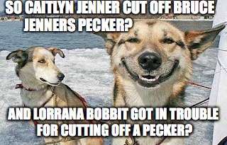 Original Stoner Dog | SO CAITLYN JENNER CUT OFF BRUCE JENNERS PECKER? AND LORRANA BOBBIT GOT IN TROUBLE FOR CUTTING OFF A PECKER? | image tagged in memes,original stoner dog | made w/ Imgflip meme maker