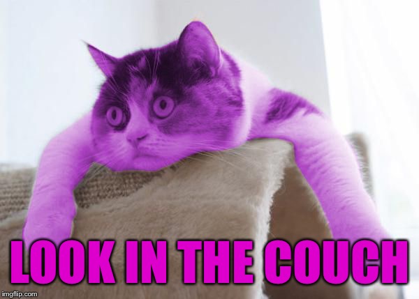 RayCat Stare | LOOK IN THE COUCH | image tagged in raycat stare | made w/ Imgflip meme maker