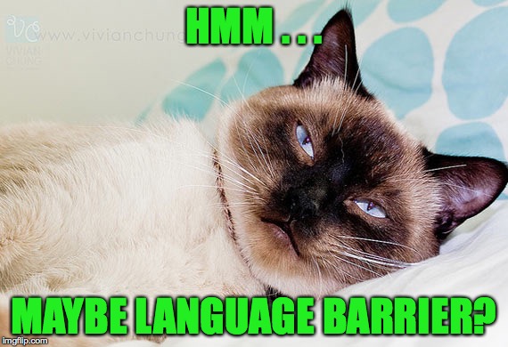 I woke up Siamese this morning | HMM . . . MAYBE LANGUAGE BARRIER? | image tagged in memes,language barrier | made w/ Imgflip meme maker