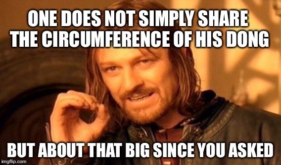 One Does Not Simply...Unless Another Asks | ONE DOES NOT SIMPLY SHARE THE CIRCUMFERENCE OF HIS DONG; BUT ABOUT THAT BIG SINCE YOU ASKED | image tagged in memes,one does not simply,dick jokes,dick memes | made w/ Imgflip meme maker