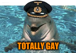 TOTALLY GAY | made w/ Imgflip meme maker