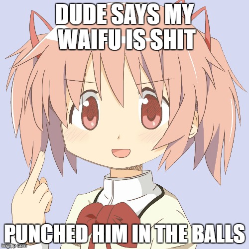 DUDE SAYS MY WAIFU IS SHIT; PUNCHED HIM IN THE BALLS | image tagged in waifu | made w/ Imgflip meme maker