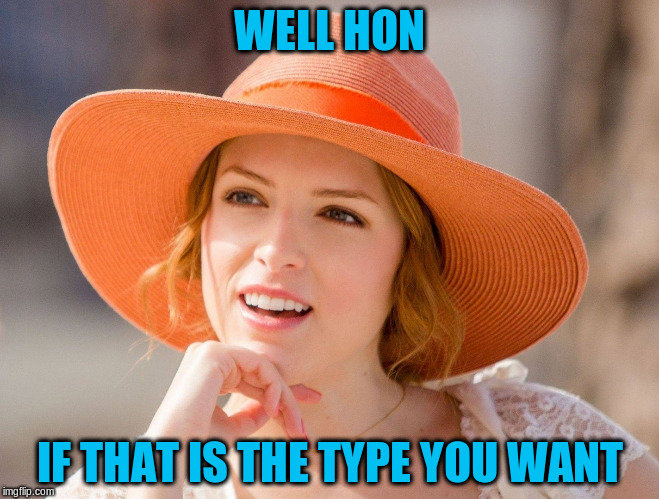 WELL HON IF THAT IS THE TYPE YOU WANT | made w/ Imgflip meme maker