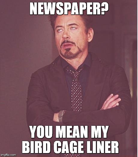 Face You Make Robert Downey Jr Meme | NEWSPAPER? YOU MEAN MY BIRD CAGE LINER | image tagged in memes,face you make robert downey jr | made w/ Imgflip meme maker