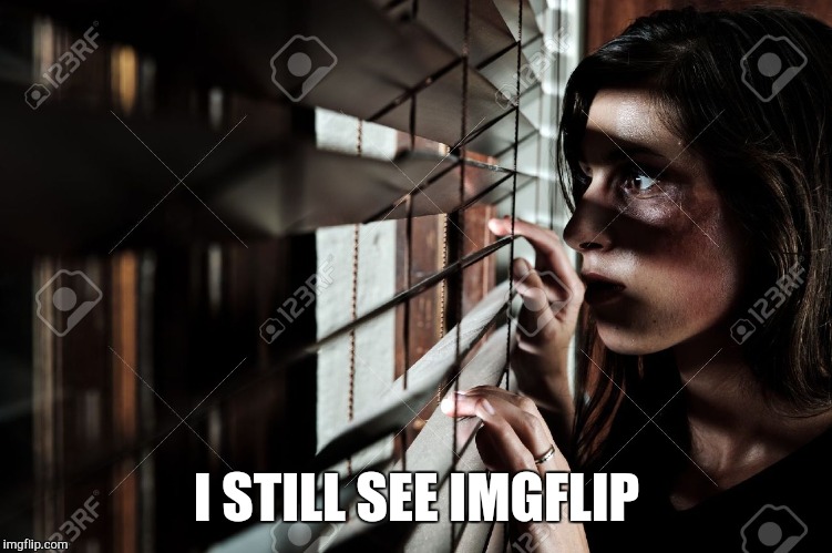 I STILL SEE IMGFLIP | made w/ Imgflip meme maker