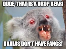 Drop bears are real | DUDE, THAT IS A DROP BEAR! KOALAS DON'T HAVE FANGS! | image tagged in drop bears are real | made w/ Imgflip meme maker