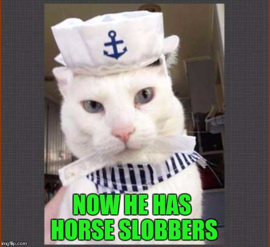 NOW HE HAS HORSE SLOBBERS | made w/ Imgflip meme maker