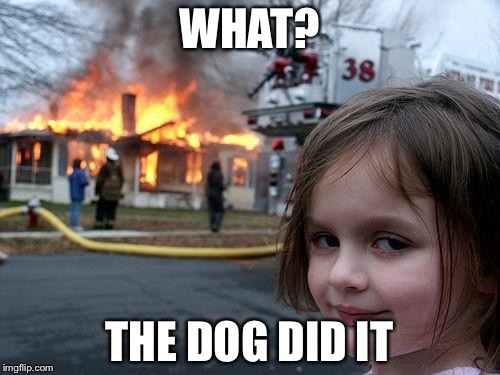 Disaster Girl | WHAT? THE DOG DID IT | image tagged in memes,disaster girl | made w/ Imgflip meme maker